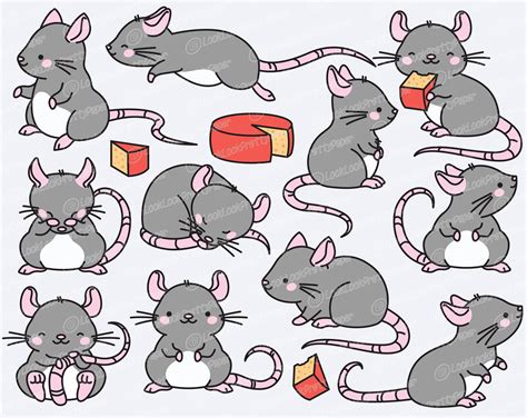 rat kawaii|kawaii rats for sale.